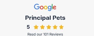 Principal Pets 100+ Google Reviews