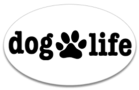 We stock Dog Life Accessories
