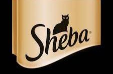 We stock Sheba Cat foods