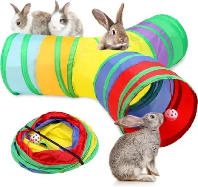 Rabbits play with colourful tunnels and a folded play tunnel.