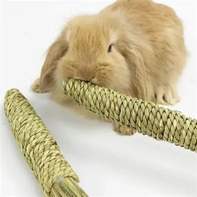 A fluffy rabbit chewing on a braided natural fibre stick.