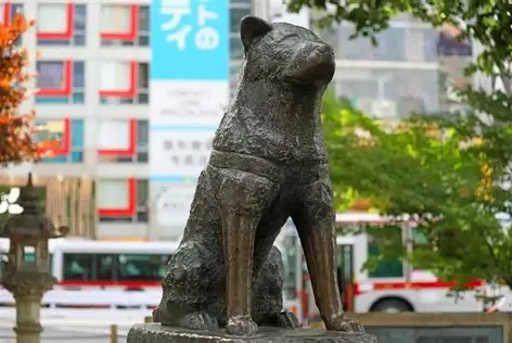 Bronze statue of Hachiko outside Shibuya Station in Tokyo, Japan