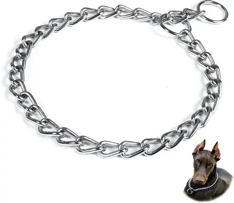 A metal choke chain collar laid out clearly against a plain background, with an inset photo of a Doberman wearing the same choke collar
